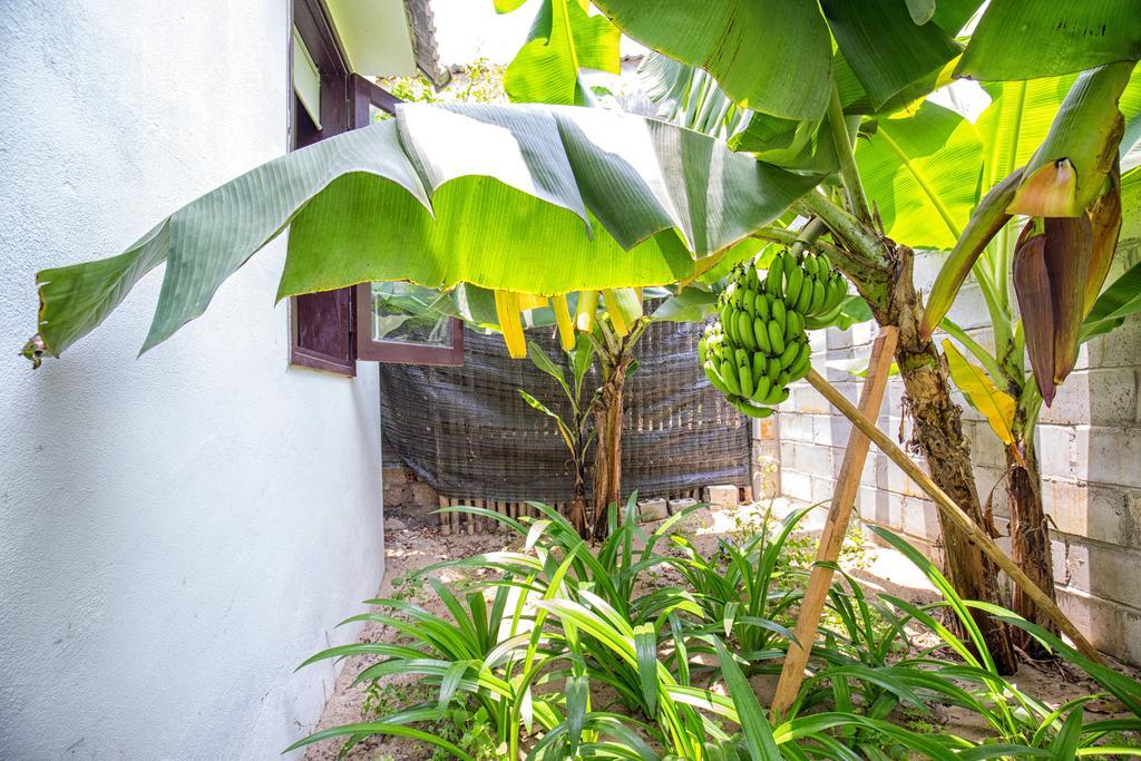 Red Flower Cottages Homestay Hoi An Eksteriør bilde
