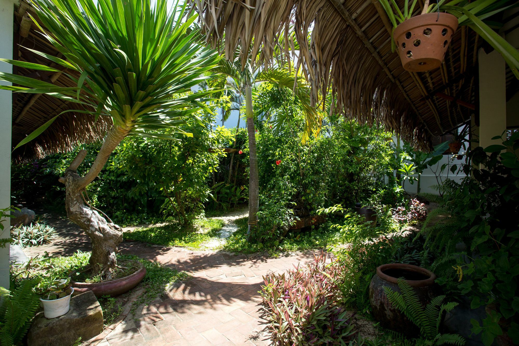 Red Flower Cottages Homestay Hoi An Eksteriør bilde